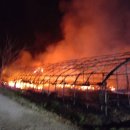 용인양계 이미지