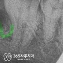 365자주치과의원 이미지