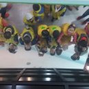 물누리체험관 이미지