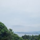 진오농장 | 노코노시마 가는 법/야요이켄/ 스시로 텐진오야후코도오리점/ 스시로 예약하는 법/ 텐진 미나/ 후쿠오카...