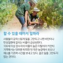 원예생활지도사 이미지