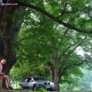 휴양림농장 이미지