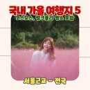 곡성-203 | 국내 가을 여행지 꽃 나들이 10월 여행 가볼만한곳 5 (핑크뮬리 코스모스)