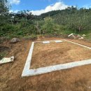 고향개장집 이미지