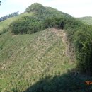 설매재자연휴양림 이미지