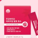 라바바이오