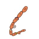 거진고등학교 | 알바 면접 후기(이게 맞는 건가?)