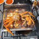 포항 구룡포 멀리 바다가보이는 구룡포사계오토캠핑장 평일 전세캠 후기!