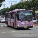 중앙초교 사거리 이미지