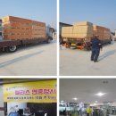 웰리스짐 이미지