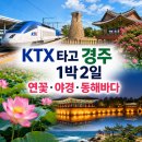 강앤진안과의원 | KTX 타고 떠나는 경주 1박2일 여행 코스｜7월 연꽃·황리단길·야경·동해바다까지