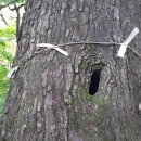 성황림마을 이미지