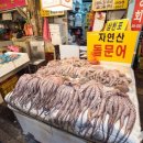 그래도완참치 이미지