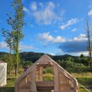 합강캠핑장(프리캠핑존) 이미지