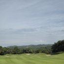 한림용인 이미지