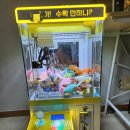 왕발뽑기장 | 가정용 인형뽑기기계 대만족