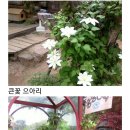 하이디식당 네이버블로그