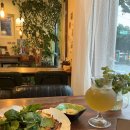 송당초등학교 | [밀도 : stay] 제주 송당, 비바람 끝에 만난 다정한 온기 '뿌리와 열매'