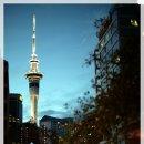 뉴질랜드 오클랜드 타워 이미지