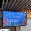 선창초등학교 이미지