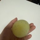 매천서점