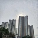 노블랜드 세탁 이미지