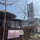 강원특별자치도 정선군 여량면 행정복지센터 | 정선 레일바이크 맛집 사계절막국수 장칼국수 직접 먹어본 후기