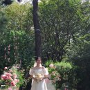 ෆ 내 취향 잔뜩 야외결혼식 준비하기 02 | 야외결혼식 플라워&디렉팅 업체 <안나앤제임스> 선정 후기 ෆ