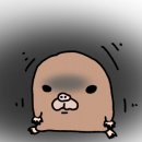 난다쇼핑