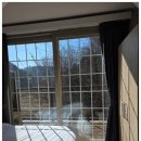 숲속의 하얀펜션 이미지