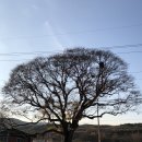 치산123민박 이미지