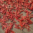 삼산농장 이미지