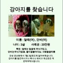 자매머리방
