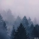 풍무올치과의원 이미지