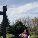 멍이와냥이 | 서산 이색체험 부석사 템플스테이 후기 / 버스로 가는법 픽업 도비산 등산 정보 도비산다원 꿀팁