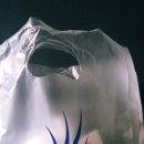 다비치안경둔산로데오점 네이버블로그
