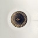 소소한 행복 초록일기 | LG 틔운 미니 방울토마토 재배 및 사용 후기! 똥손도 성공하는 집안의 작은 텃밭