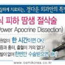 정다운개발 이미지