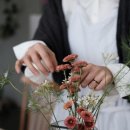 스튜디오_달루즈