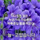 인사말 이미지 이미지