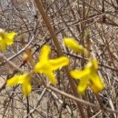 비점오염저감시설화장실 이미지