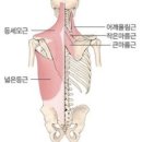 엠휘트니스 이미지