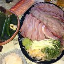 노량진수산시장 대방어광어 맛집 서산안면도(인어교주해적단), 초장집 호멜맥주 웨이팅 후기