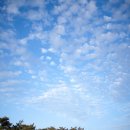 하얀파크 이미지