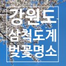 공설운동장 동편화장실 | 강원도 삼척 도계 벚꽃 명소 | 소달초 강원대길 공설운동장 후기