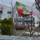 흰돌농장 이미지