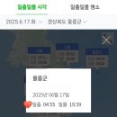 천부상회 | 자유여행 2일차 여행코스(Feat. 내수전일출전망대, 스노클링, 천부해수전망대, 태하항목 관광모노레일)