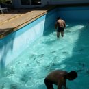 담터펜션 이미지