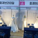마담주(대구)