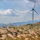 구례목장 이미지